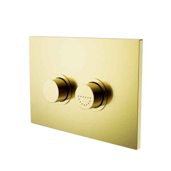 RAISED DISABLED CARE PNEUMATIC FLUSH BUTTONS PLATE DDA COMPLIANT  BRUSHED GOLD