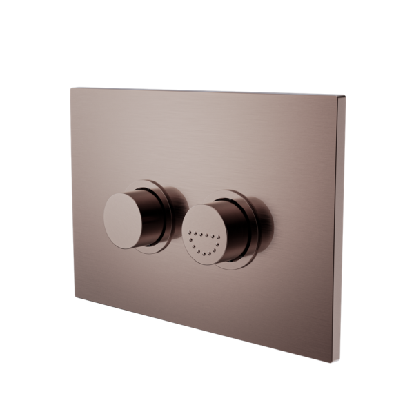 RAISED DISABLED CARE PNEUMATIC FLUSH BUTTONS PLATE DDA COMPLIANT  BRUSHED BRONZE